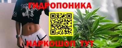 бошки Кимры