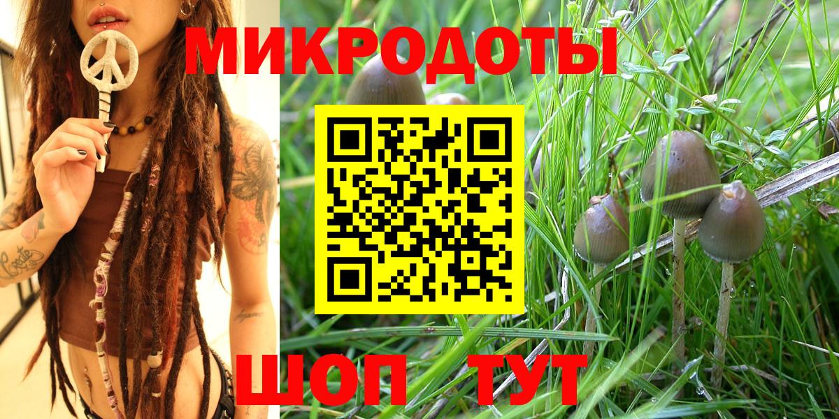 Королёв  Галлюциногенные грибы Cubensis  Вход с VPN 